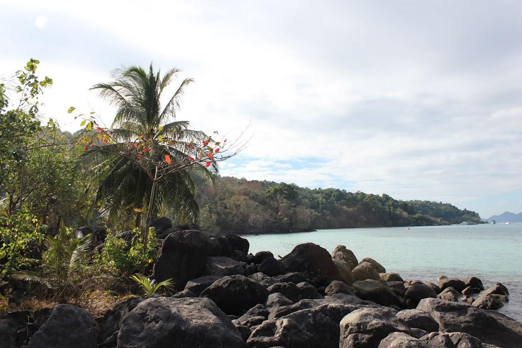 Un peu d’ailleurs…