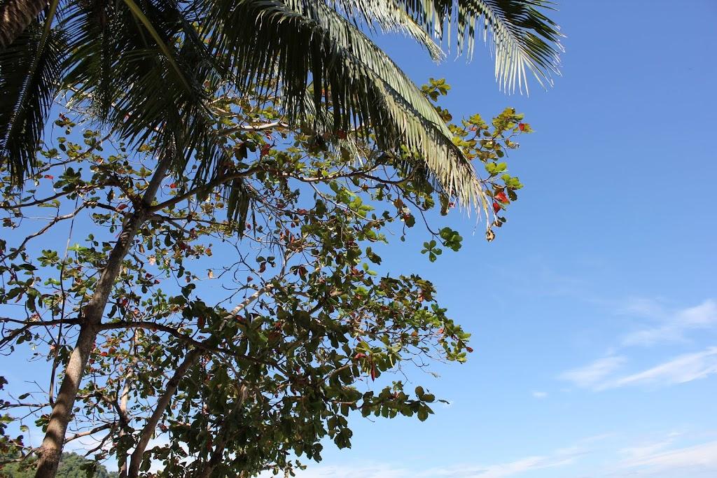 Un peu d’ailleurs…