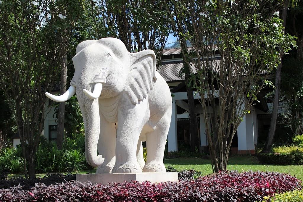 Un peu d’ailleurs…