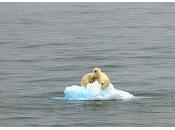 Dériver l'échiquier politique