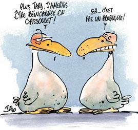 reincarnee-cassoulet