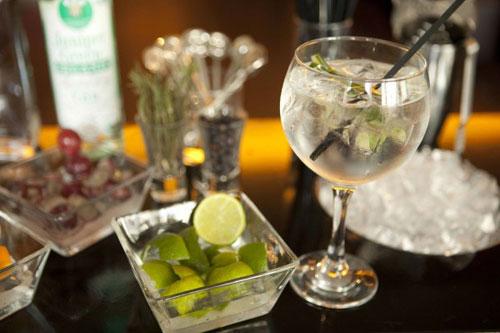 gin <b></div>tonic</b> barcelone