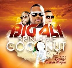 Big Ali Feat. Lucenzo & Gramps Morgan – Bring me Coconut (Clip Officiel)