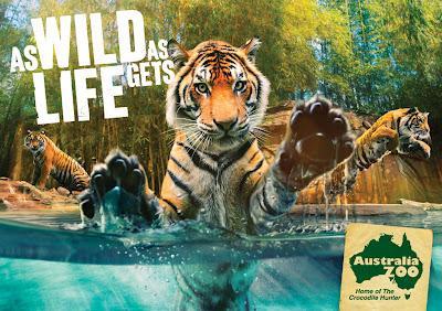Australia Zoo : Une campagne presque vivante!