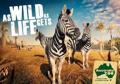 Australia Zoo : Une campagne presque vivante!