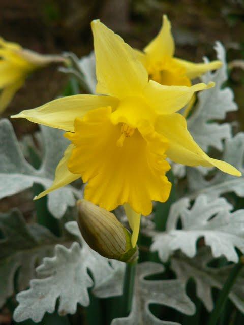 Pendant Que l'Europe se Gele...