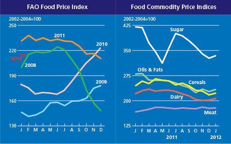 Hausse des prix alimentaires mondiaux