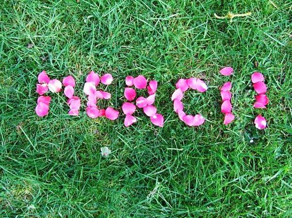 La gratitude, ça fait du bien...