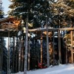 Passez une nuit dans un arbre !