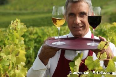 A découvrir : le Guide des vignerons bio de Rhône-Alpes 2012