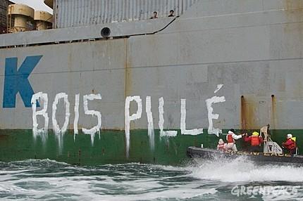 Pillage de bois tropicaux : un bateau intercepté et marqué par Greenpeace au large de Caen