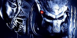 Alien vs Predator 3 : projet confirmé !