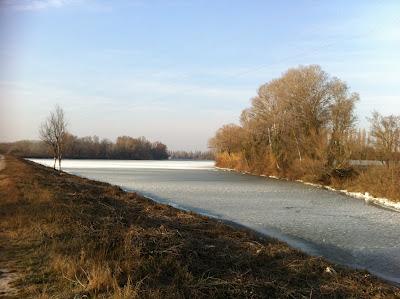 Froid en Provence, toujours...