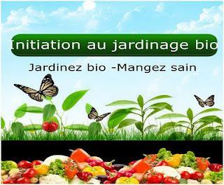 Mon potager bio : récapitulatif !