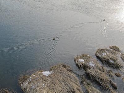 Croisière sur la Moselle