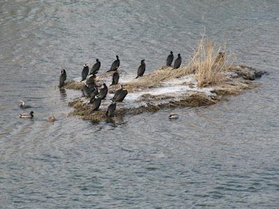 Croisière sur la Moselle