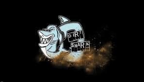 Ricky Carmichael et Brett Metcalfe filmé par Dirt Shark