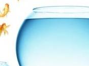 PSYCHO: Changer domicile trop souvent, mauvais pour santé enfants? Journal Epidemiology Community Health