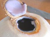 noix coco rose moisissure