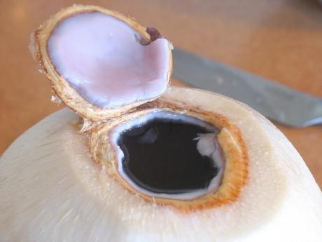noix de coco rose et moisissure