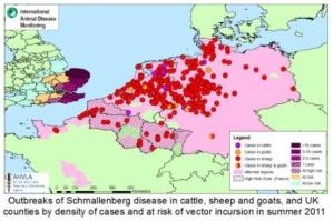 Virus SCHMALLENBERG : 94 exploitations touchées en France, plus de 1.200 en Europe – Ministère de l’Agriculture, FLI