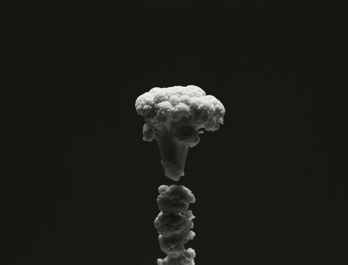 Explosion-chou-fleur-01