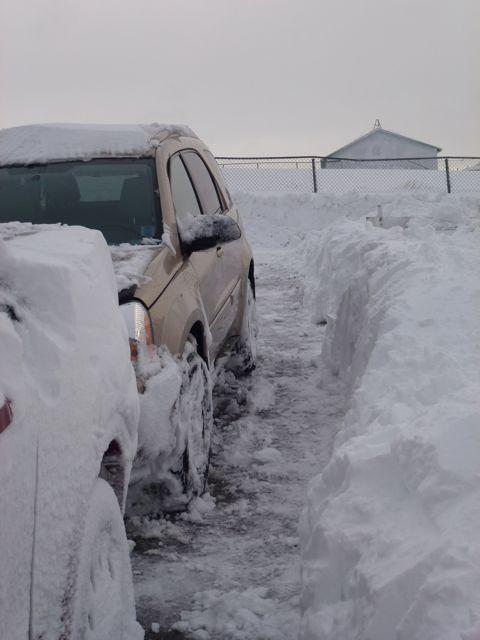 Après tempête de neige à Saint Pierre et Miquelon