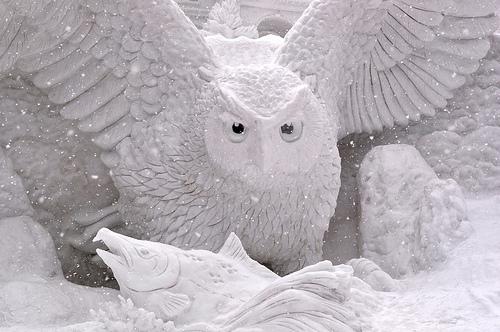 Snow Owl by Ashurii Aren
