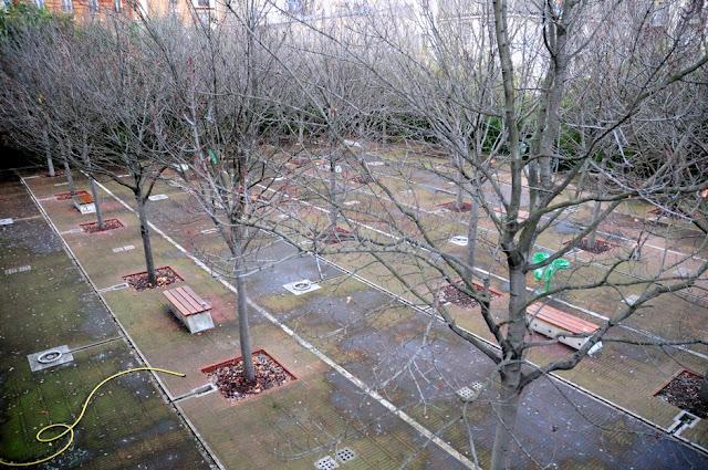 Hiver, Paris, Jardin de la Ballade Plantée