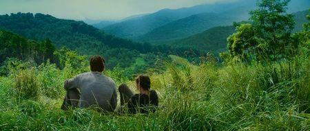 hunger-games-katniss-gale-field