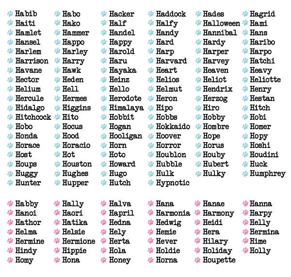 Un nom pour votre chiot : 2012 l’année de la lettre H