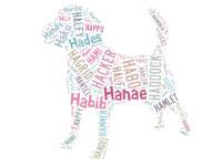 Un nom pour votre chiot : 2012 l’année de la lettre H