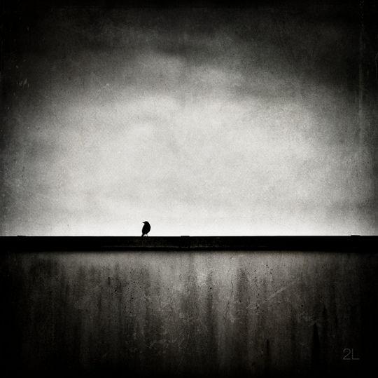 Sélection Darqroom Pixfan #57