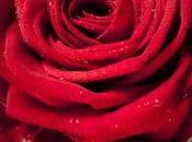 février, aujourd'hui c'est Valentin