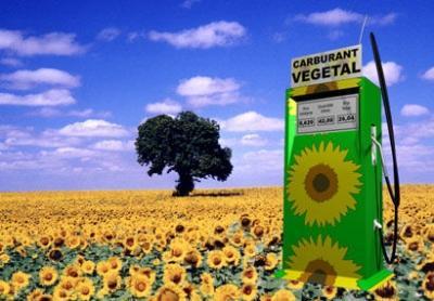 énergies,énergies renouvelables,biocarburants,écologie,alimentation,hydrocarbures,gaz à effets de serre