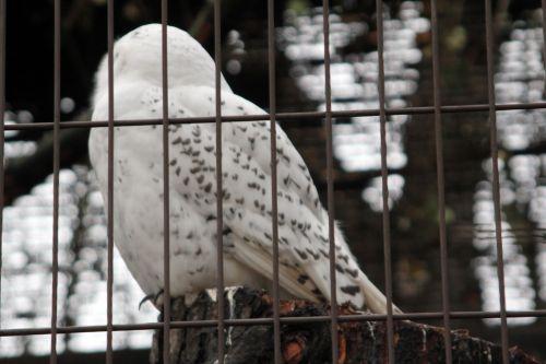 4 paris 31 déc 2011 267.jpg