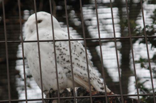 2 paris 31 déc 2011 268.jpg