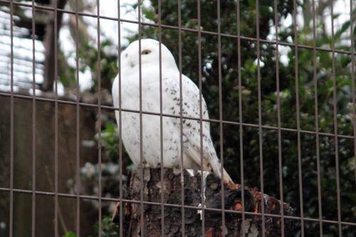 1 paris 31 déc 2011 265.jpg