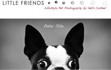 Little Friends Photo