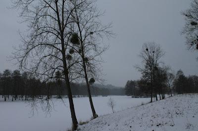 Hiver 2012 : après le froid, la neige...