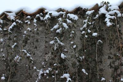 Hiver 2012 : après le froid, la neige...