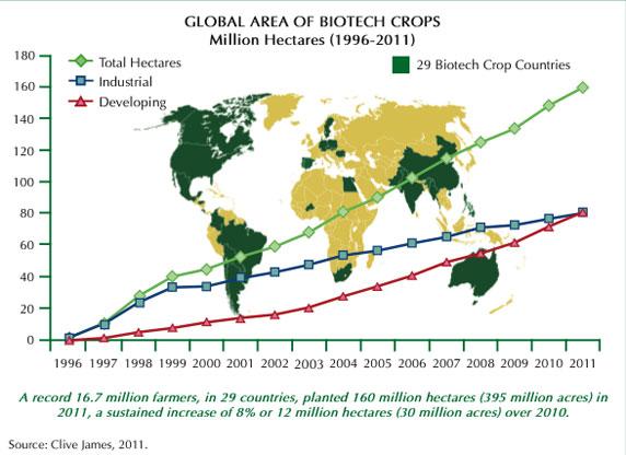 Les cultures OGM progressent de 8% en 2011