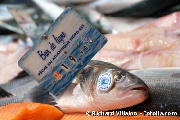 Un nouvel écolabel français pour une pêche durable
