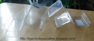 Semis d'herbes aromatiques