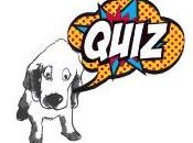Quiz WOUAF#1″ Bande dessinée
