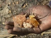 fibre d’acacia Comment être mince naturellement ?