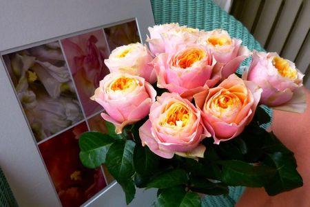 portrait de fleurs 031