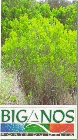 especes invasives debat (2)