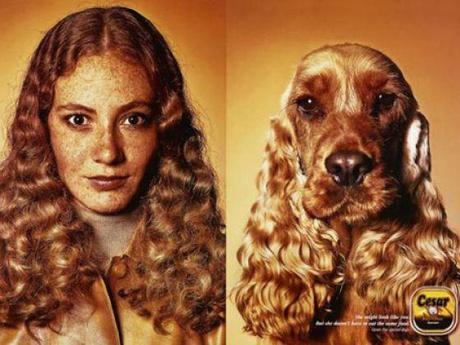 Tel maître, tel chien