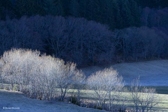 Après l'Auvergne, au Canada avec beGlob